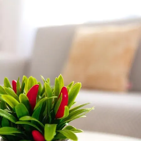 度假居 Casa Paca - Your Private Oasis In Lanzarote - Paradise By The Sea 普拉亚布兰卡