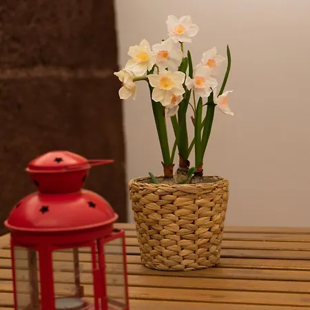 Casa Paca - Your Private Oasis In Lanzarote - Paradise By The Sea بيت للعطل